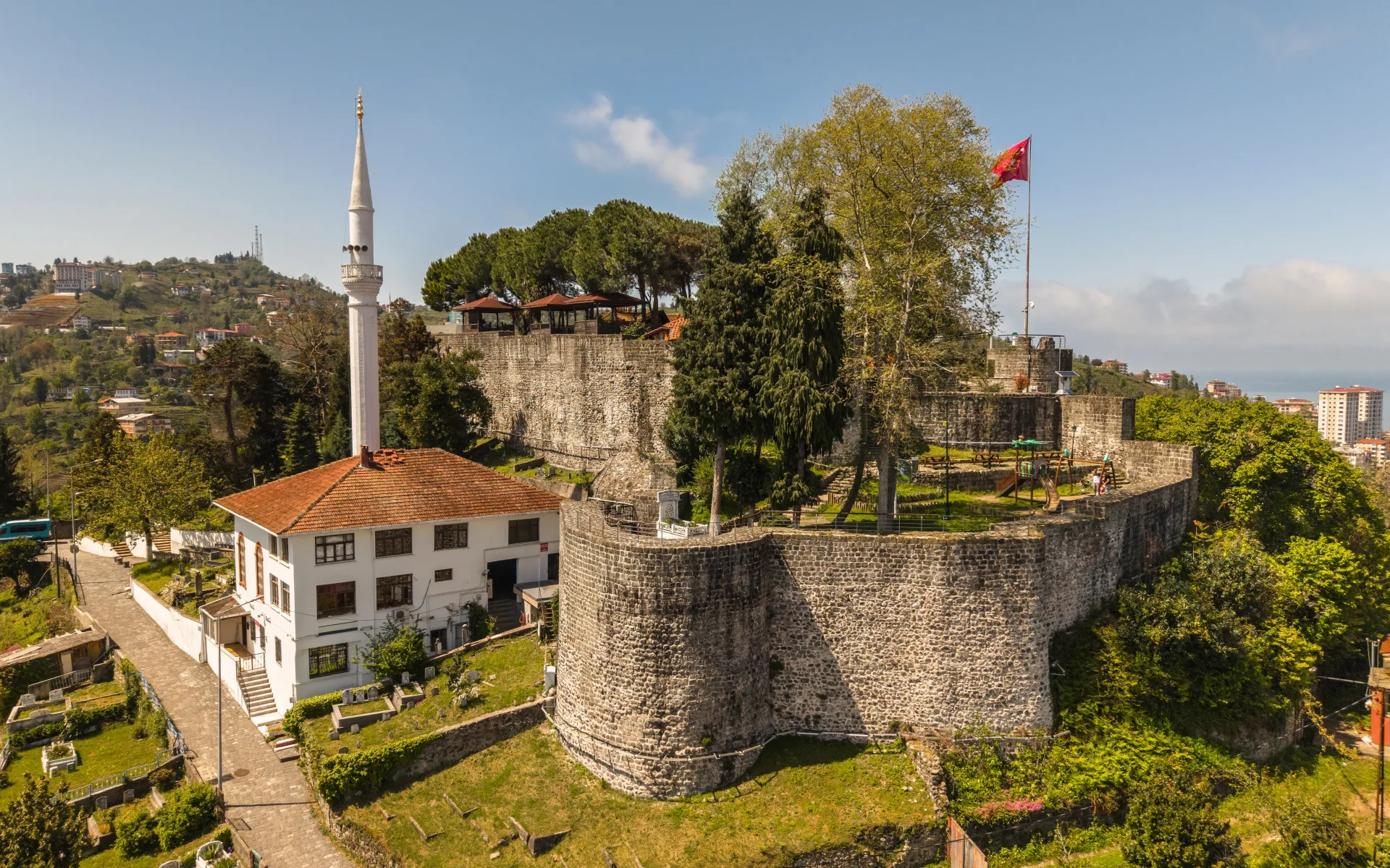 rize